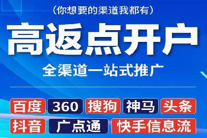 SEM广告投放的竞价策略与效果评估案例